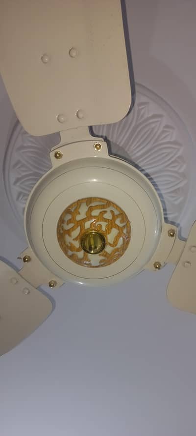 Royal Fans For sale