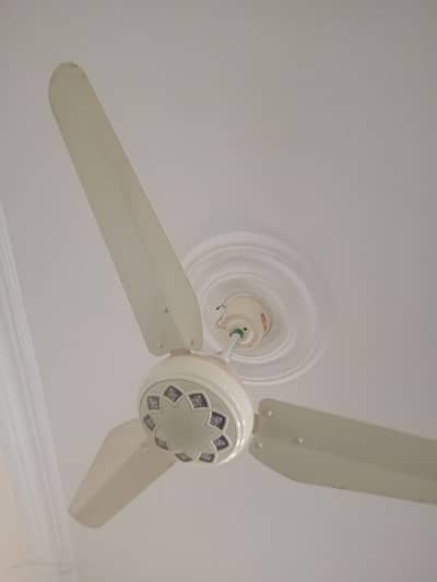 Ceiling fans available in bulk quantity. . . slightly used AC/DC
