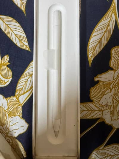 Apple pencil (USB-C)