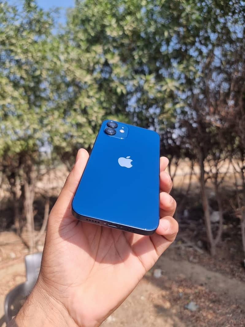 Apple iPhone 12 2