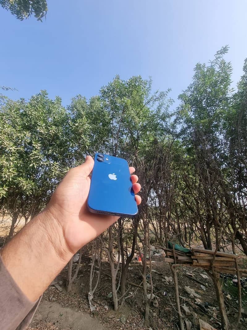 Apple iPhone 12 4