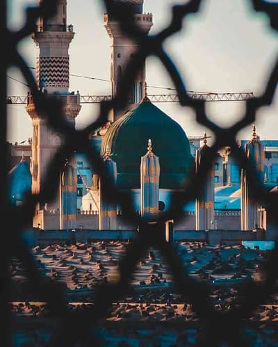 QaisAli 
