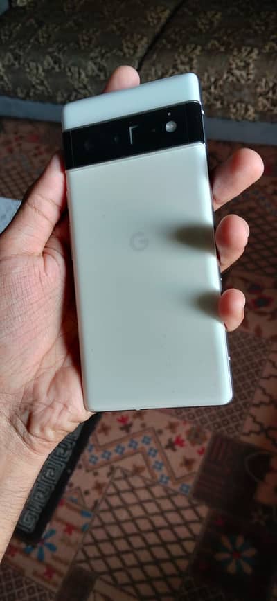 Google Pixel 6 Pro Panel demagh