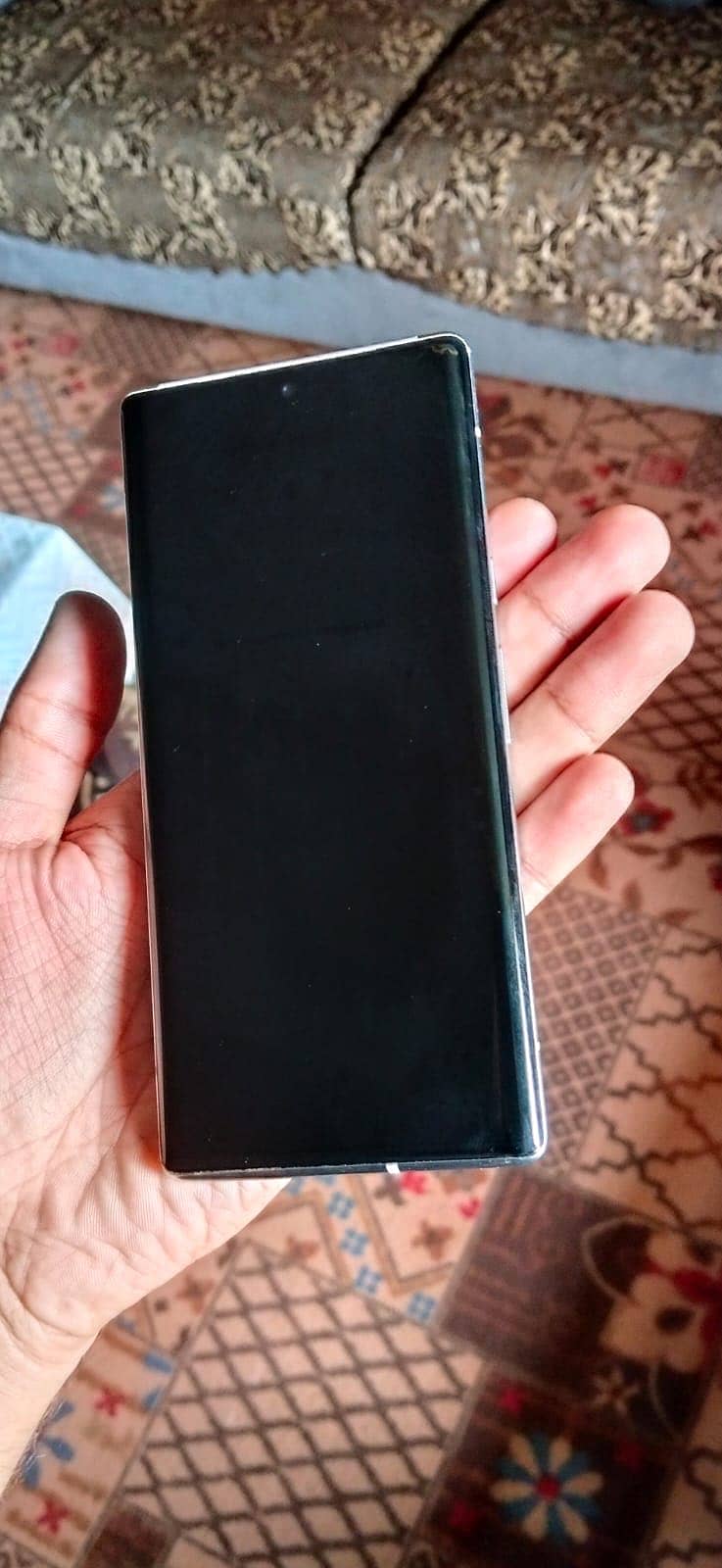 Google Pixel 6 Pro Panel demagh 1