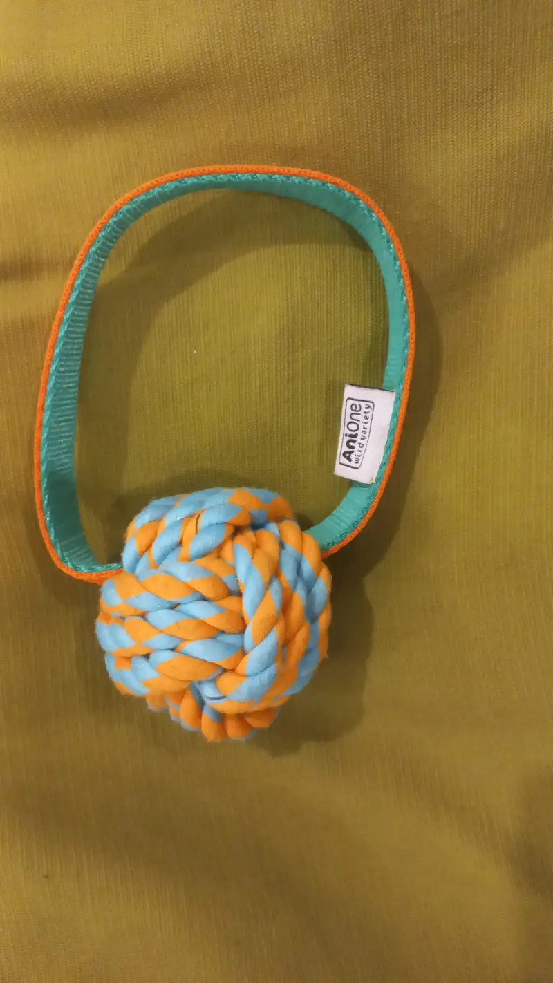 imported Branded accessories for Dog and Cat — photo 5
