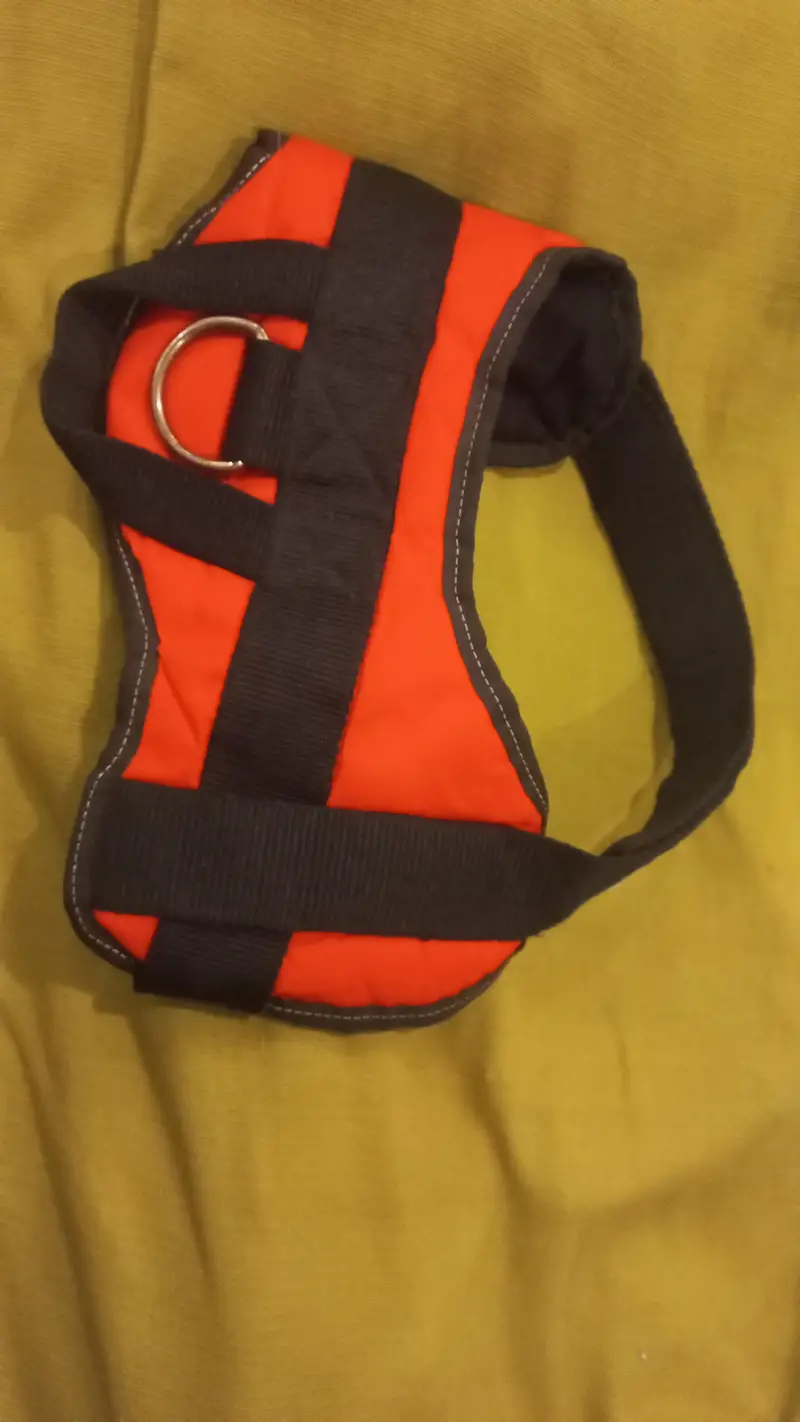 imported Branded accessories for Dog and Cat — photo 6