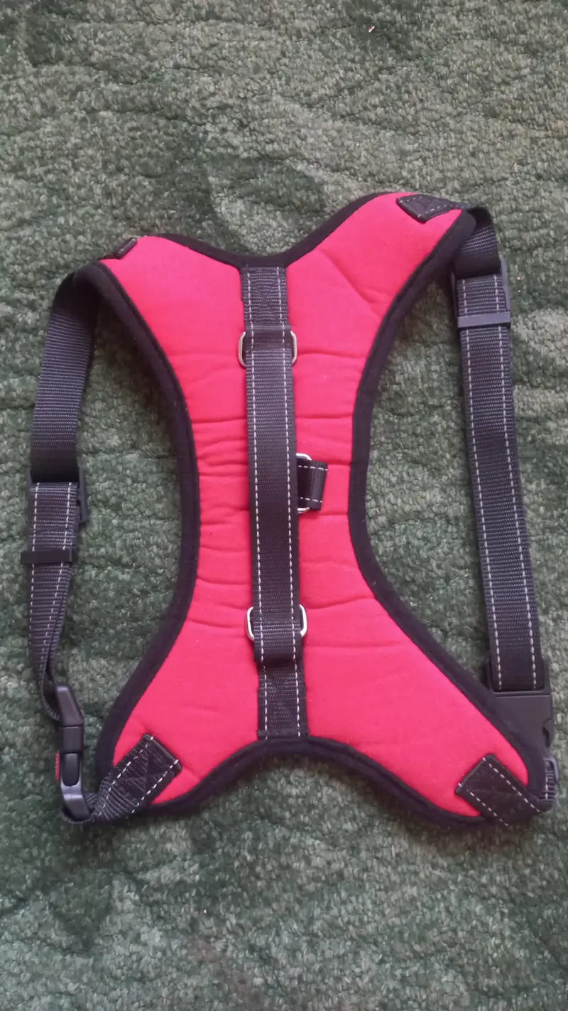 imported Branded accessories for Dog and Cat — photo 7