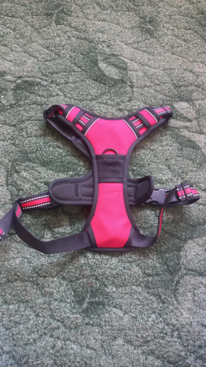 imported Branded accessories for Dog and Cat — photo 8
