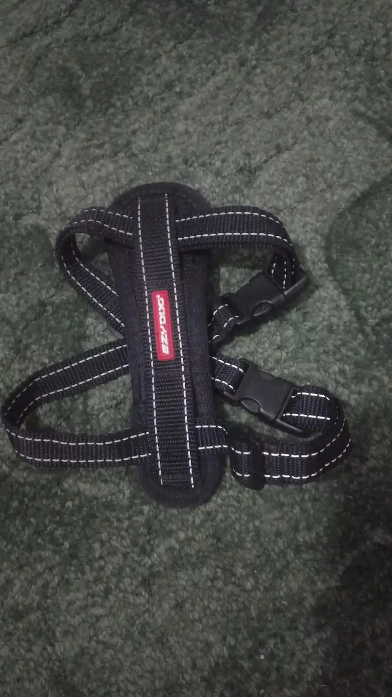 imported Branded accessories for Dog and Cat — photo 9