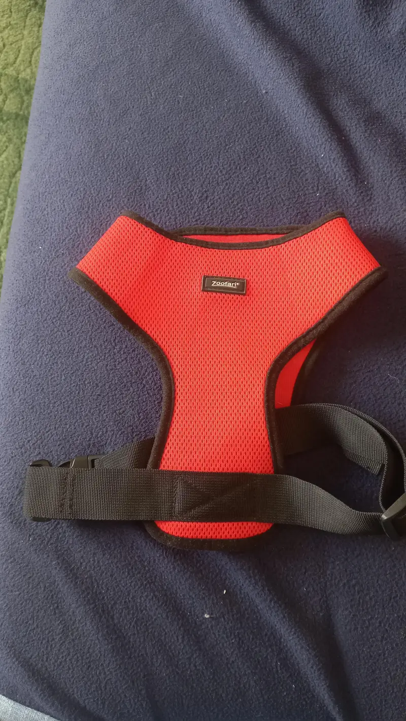 imported Branded accessories for Dog and Cat — photo 11