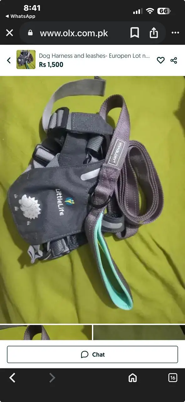 imported Branded accessories for Dog and Cat — photo 12