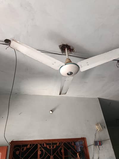 GFC Celling Fan available for sale
