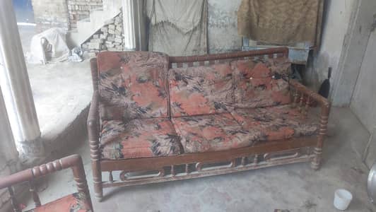best quality shisham wood around 20 year old and still in best