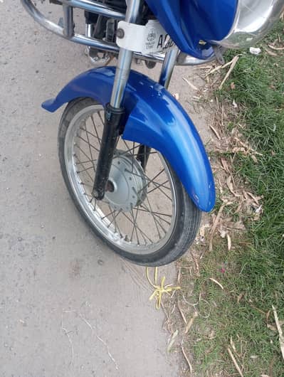 all paper clear bio nahe hai