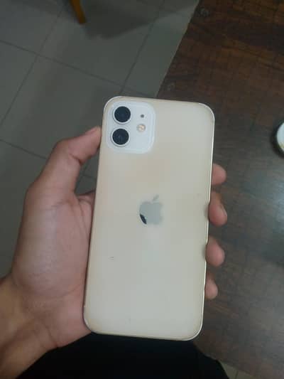Apple iPhone 12