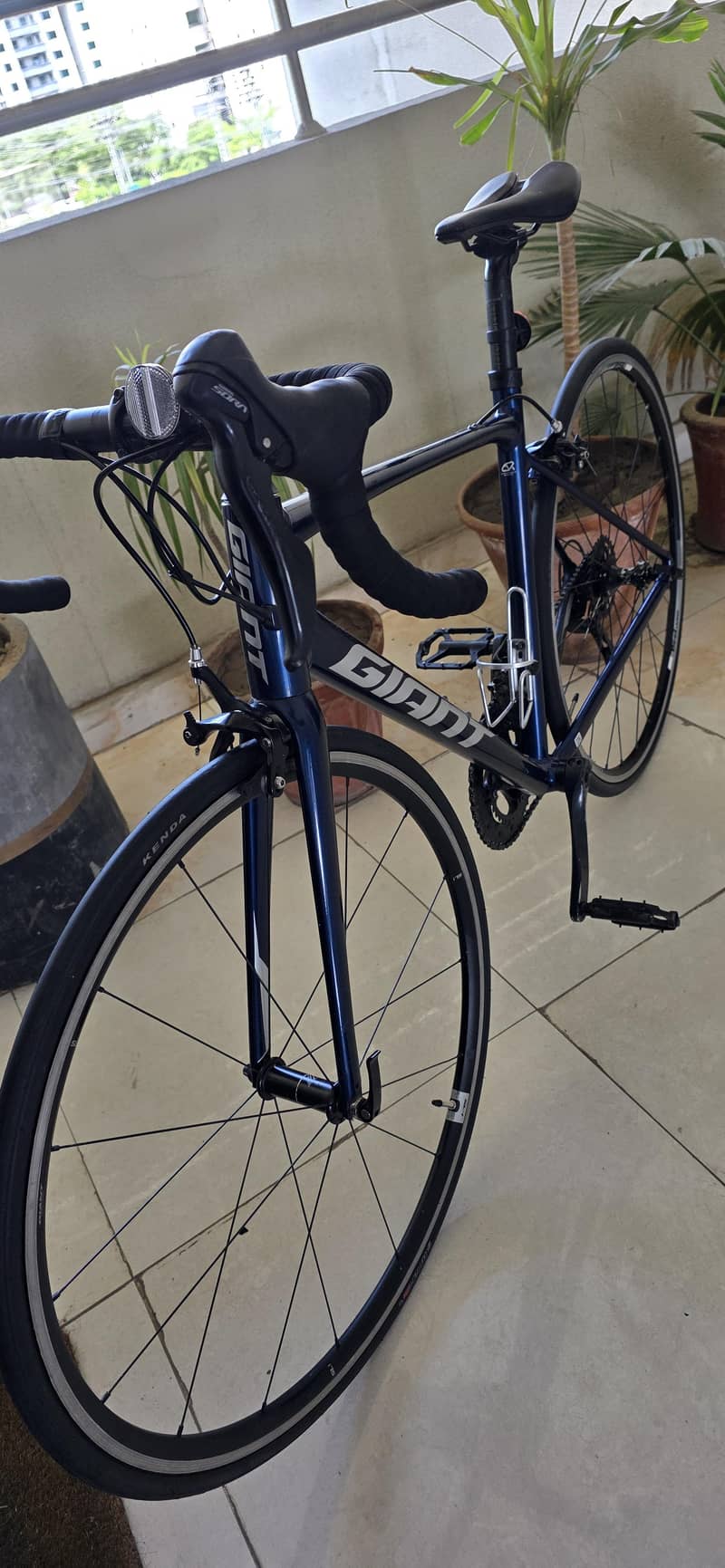 Giant Contend 0