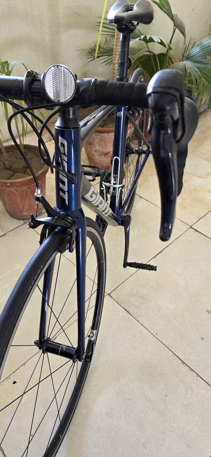 Giant Contend 1