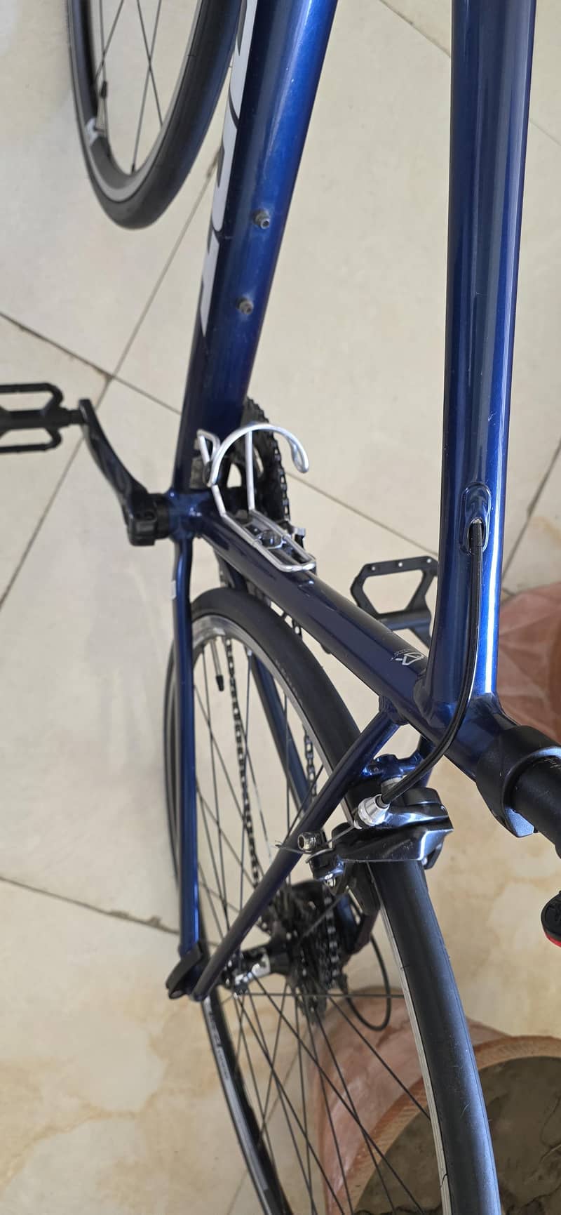 Giant Contend 2