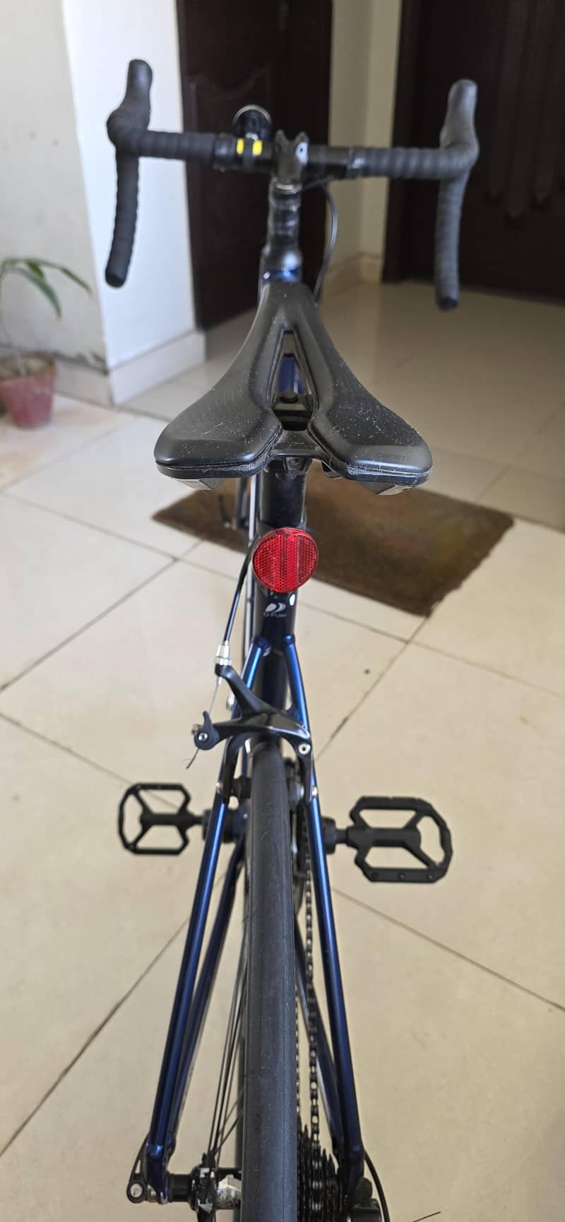 Giant Contend 3