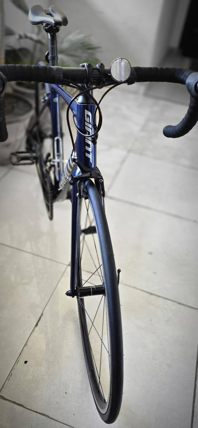 Giant Contend 4
