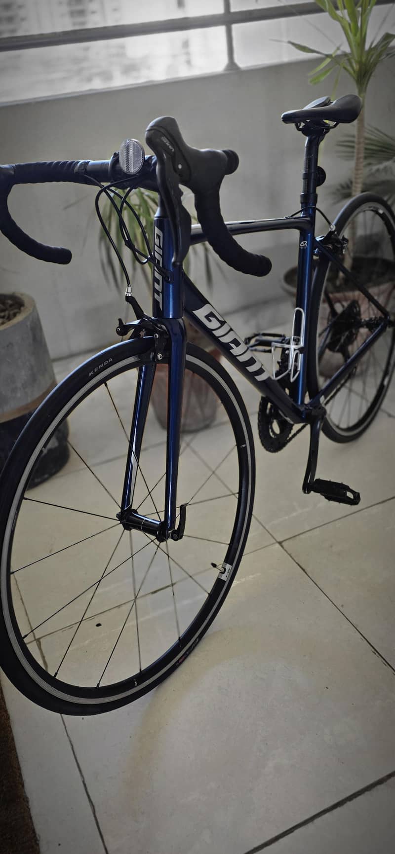 Giant Contend 5