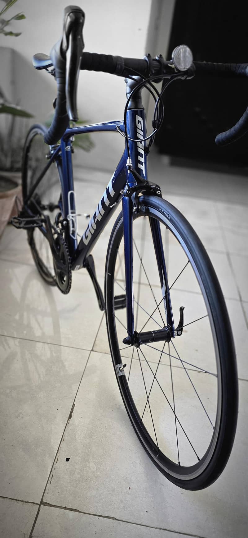 Giant Contend 6