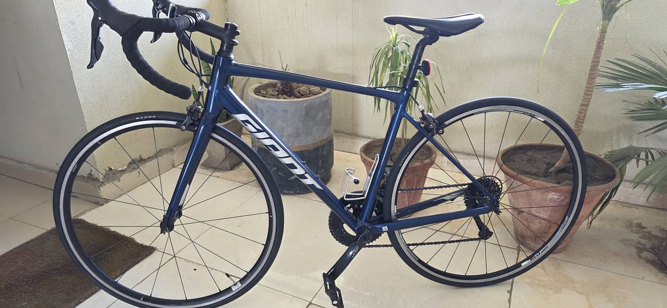 Giant Contend 7