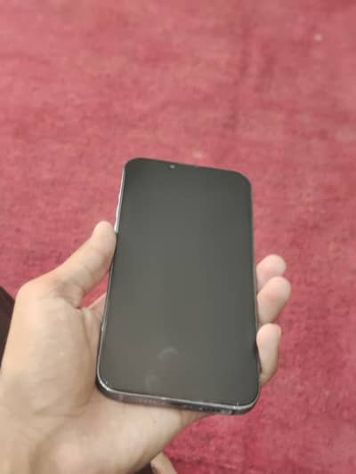Apple iPhone 13 Pro Max