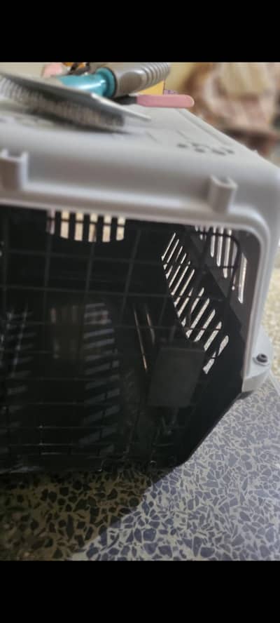 cat and dog cage