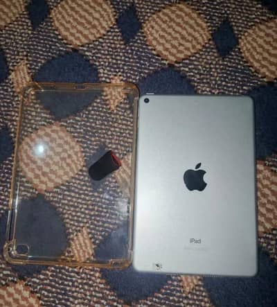ipad mini 5