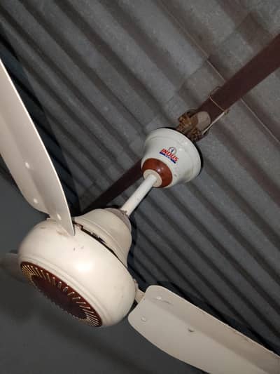 indus fan