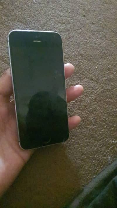 Apple iPhone 5s