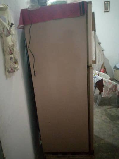 dalawnce fridge Large