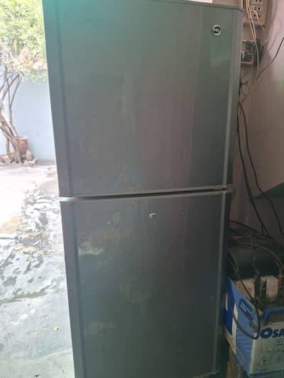 pel medium size