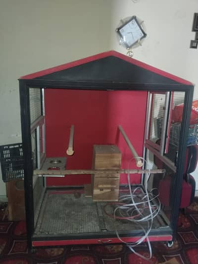 birds cage available house shap