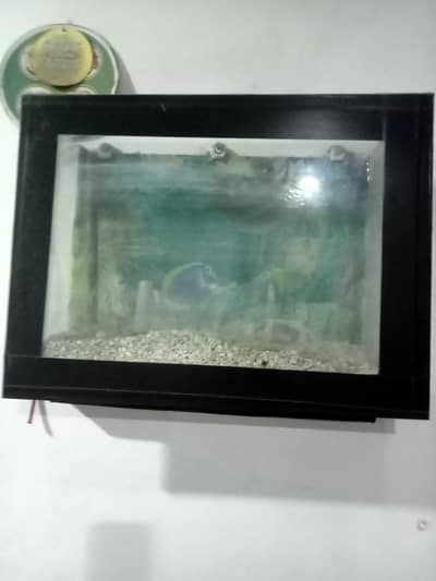 Aquarium