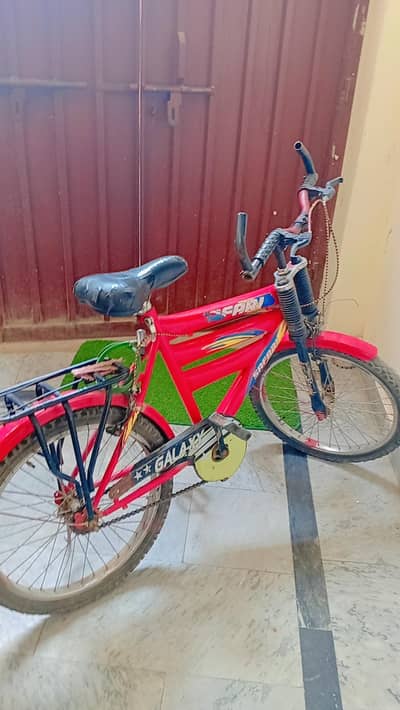 Safari bicycle 