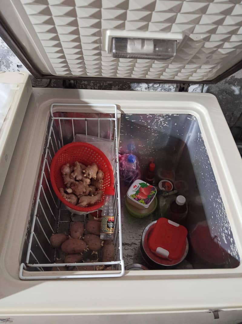 freezer 3