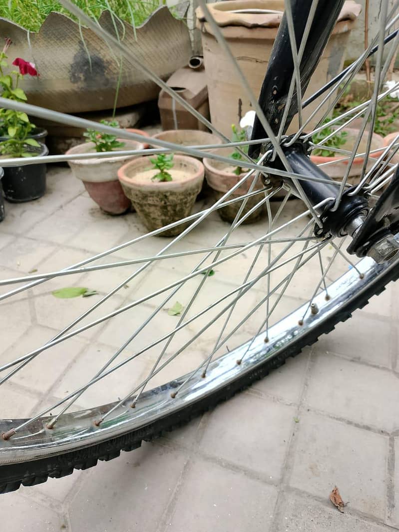 cycle 0