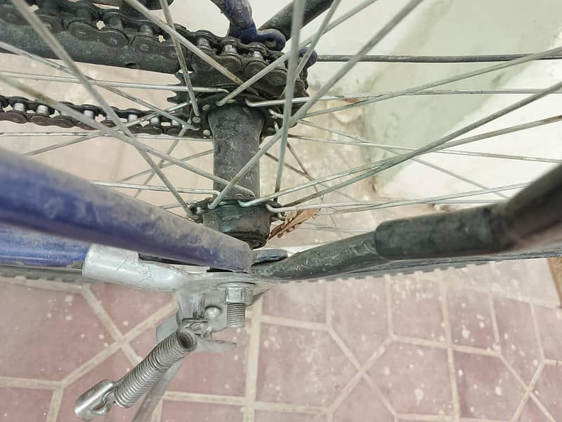 cycle 4