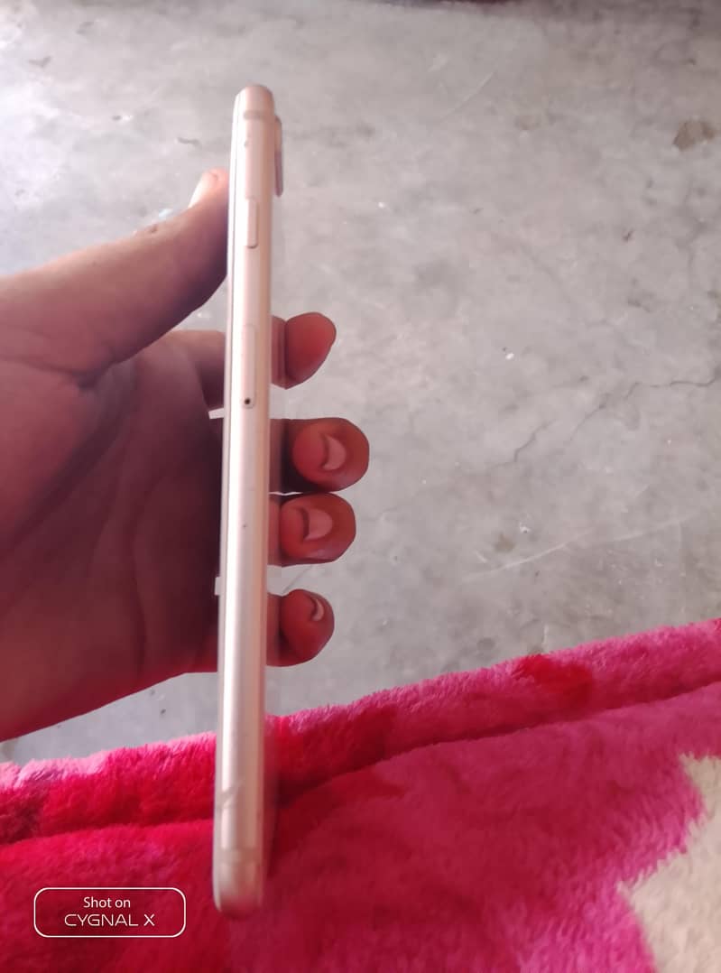 Apple iPhone 8 Plus 1