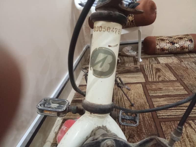 Bridgestone cycle 1
