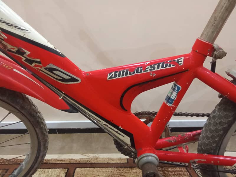 Bridgestone cycle 2