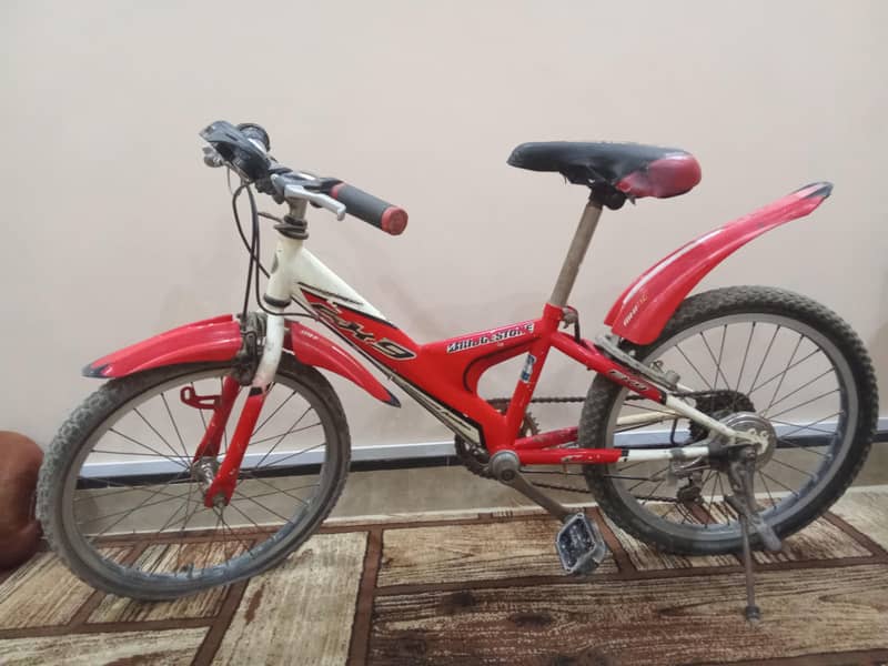 Bridgestone cycle 3