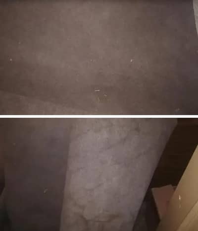 2 irani carpet