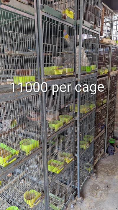cages for sale