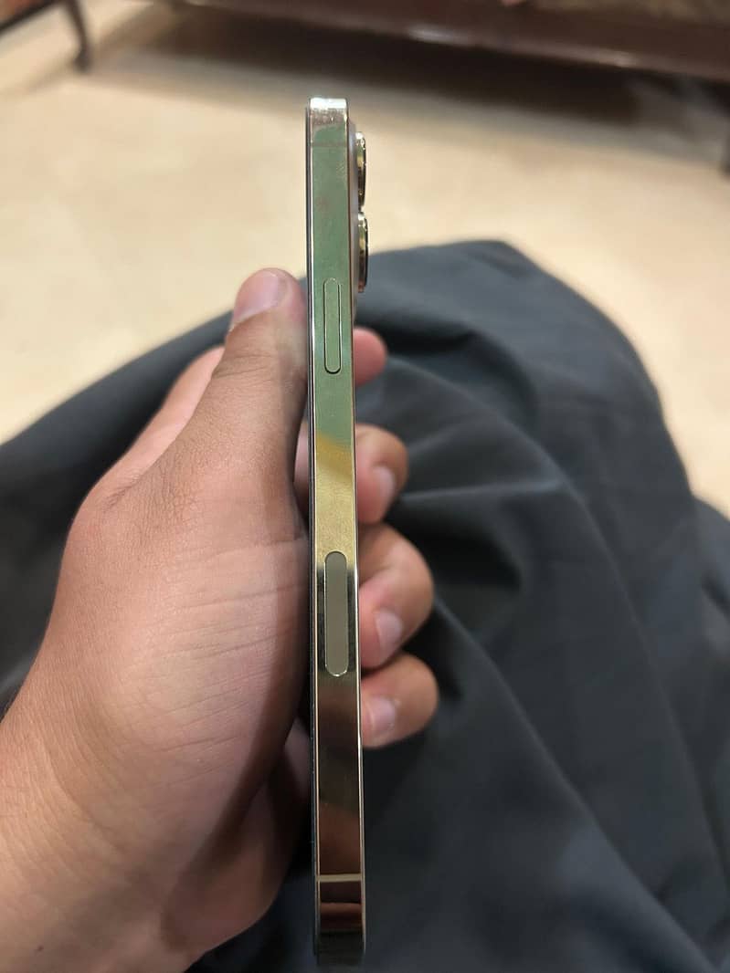 Iphone 13 pro max 4
