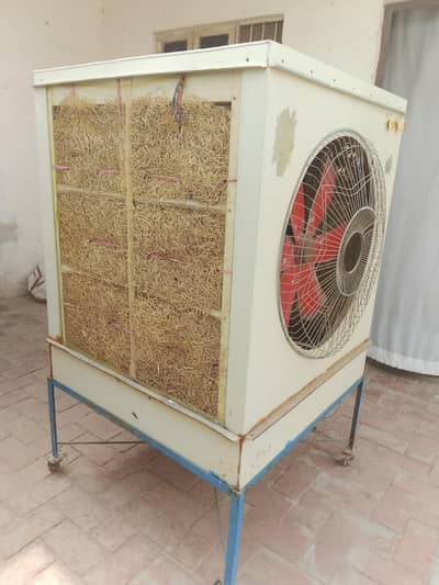 cooler