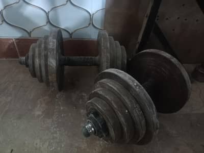dumbbells and multi bench