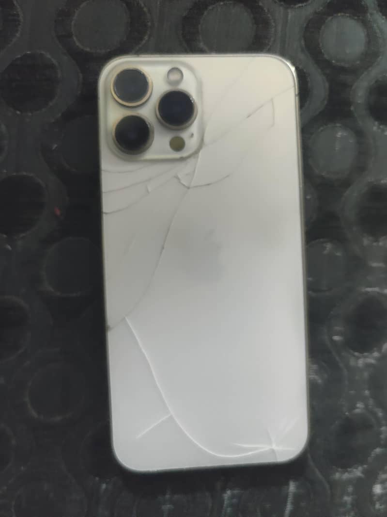 iPhone 13 Pro Max jv 0